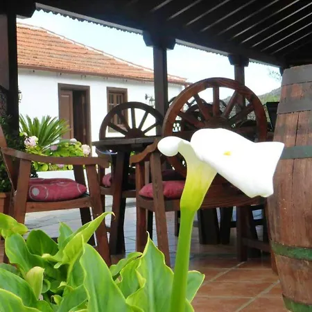 Charming With Terrace In Silos 40 M²